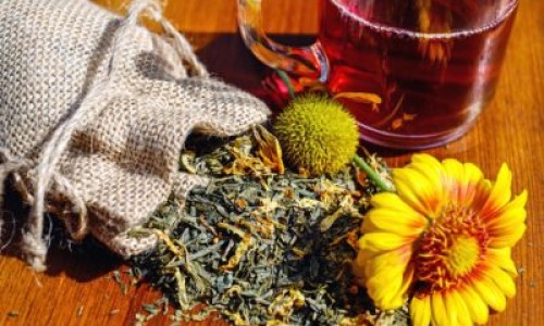三角风中药别名叫什么-三角风草药图片功效专区_三角风草药有副作用吗专区_三角风的药用功效与作用网